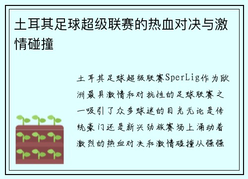土耳其足球超级联赛的热血对决与激情碰撞